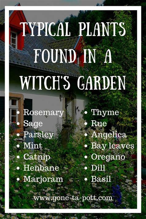 Organic garden for witches